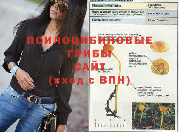 амфетамин Алексин