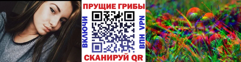 закладки  Каневская  Галлюциногенные грибы MAGIC MUSHROOMS 